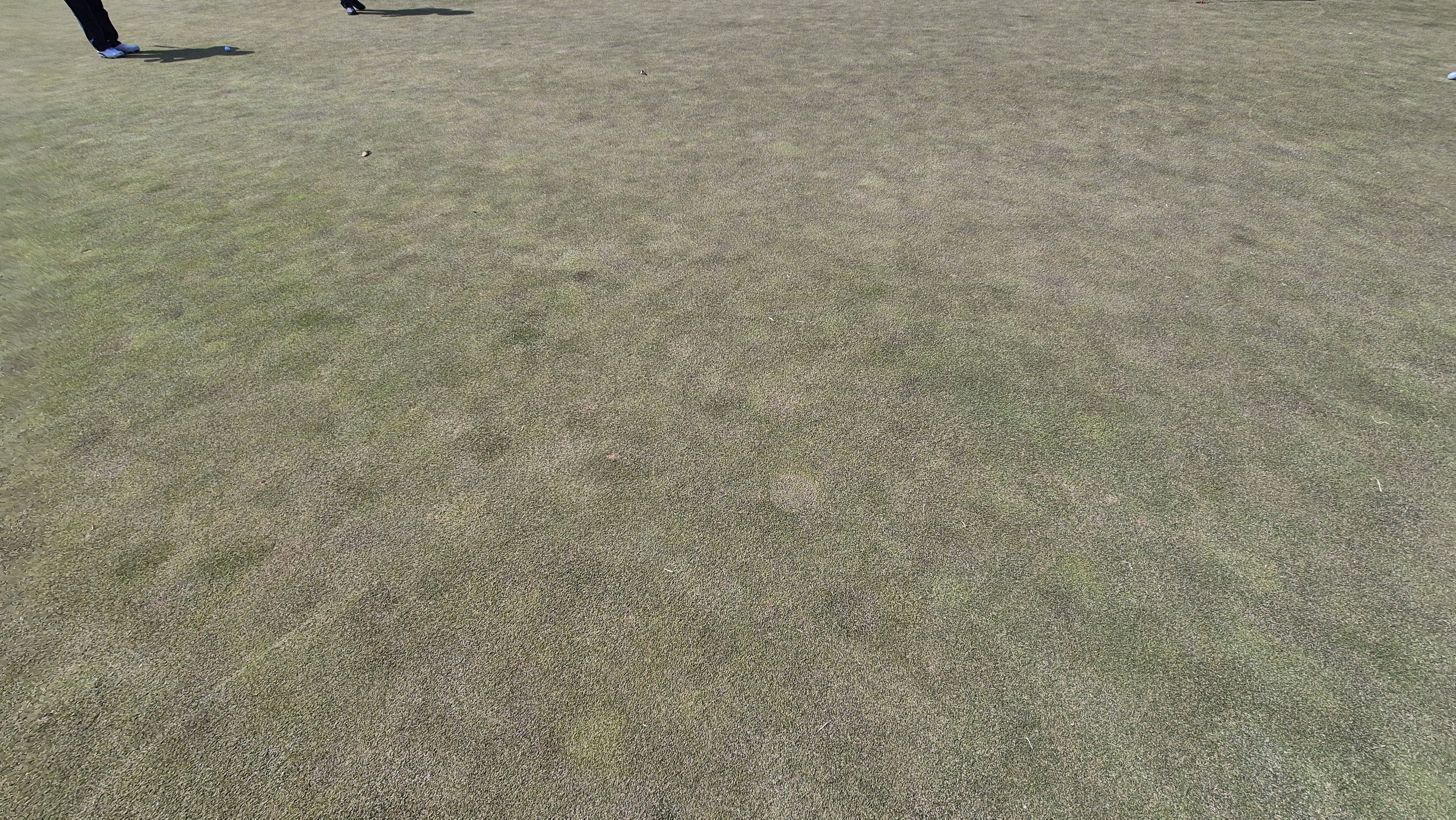 이글몬트cc 히든-이글 코스 라운드 후기