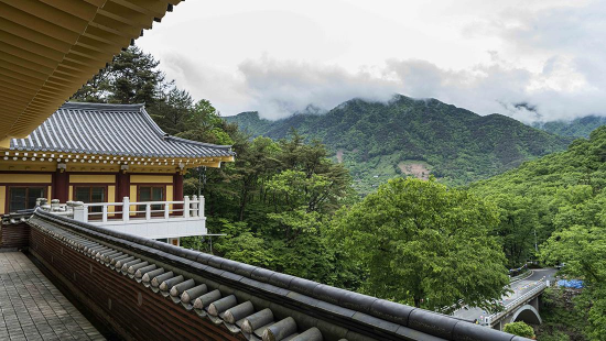 경남 쌍계사 템플스테이 신청 방법