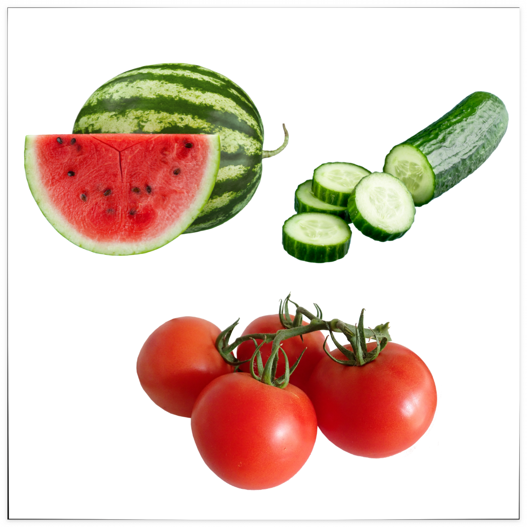 이석증 증상 완화에 좋은 음식과 영양제