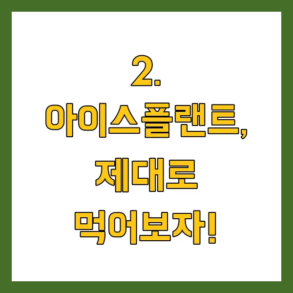 아이스플랜트 효능 효과, 주문 방법, 요리법 생방송 오늘아침