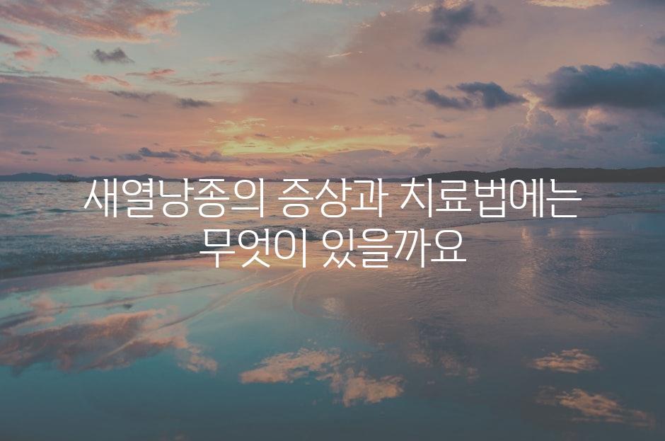 샘플 (81)