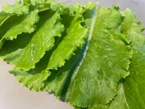 당근라페 김밥 만들기 재료 준비 - 깨끗하게 씻은 로메인 6장