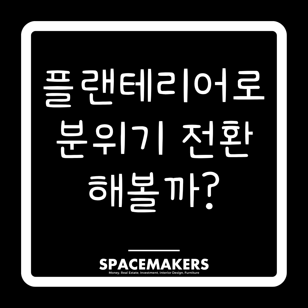 플랜테리어로 분위기 전환 해볼까?