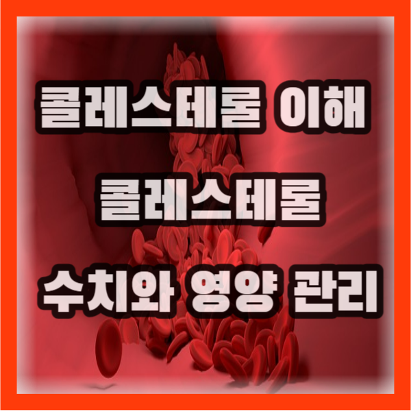 콜레스테롤 이해, 콜레스테롤 수치와 영양 관리