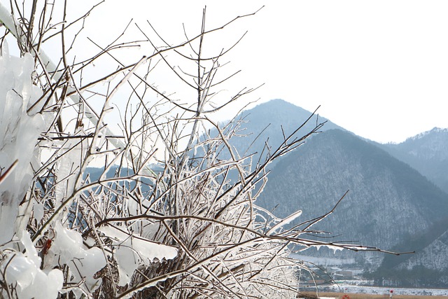 가리왕산이 있는 정선의 상고대 모습
