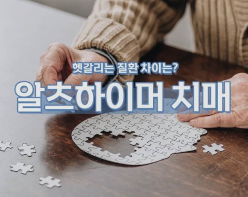 알츠하이머 치매 차이점
