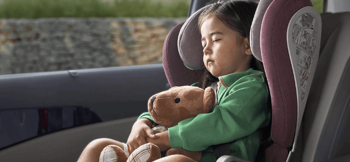 카니발 하이브리드