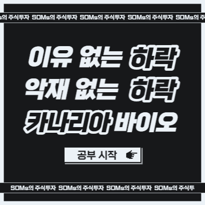 카나리아바이오 낙주 매매 - 이유 없는 하락 - 재료 분석