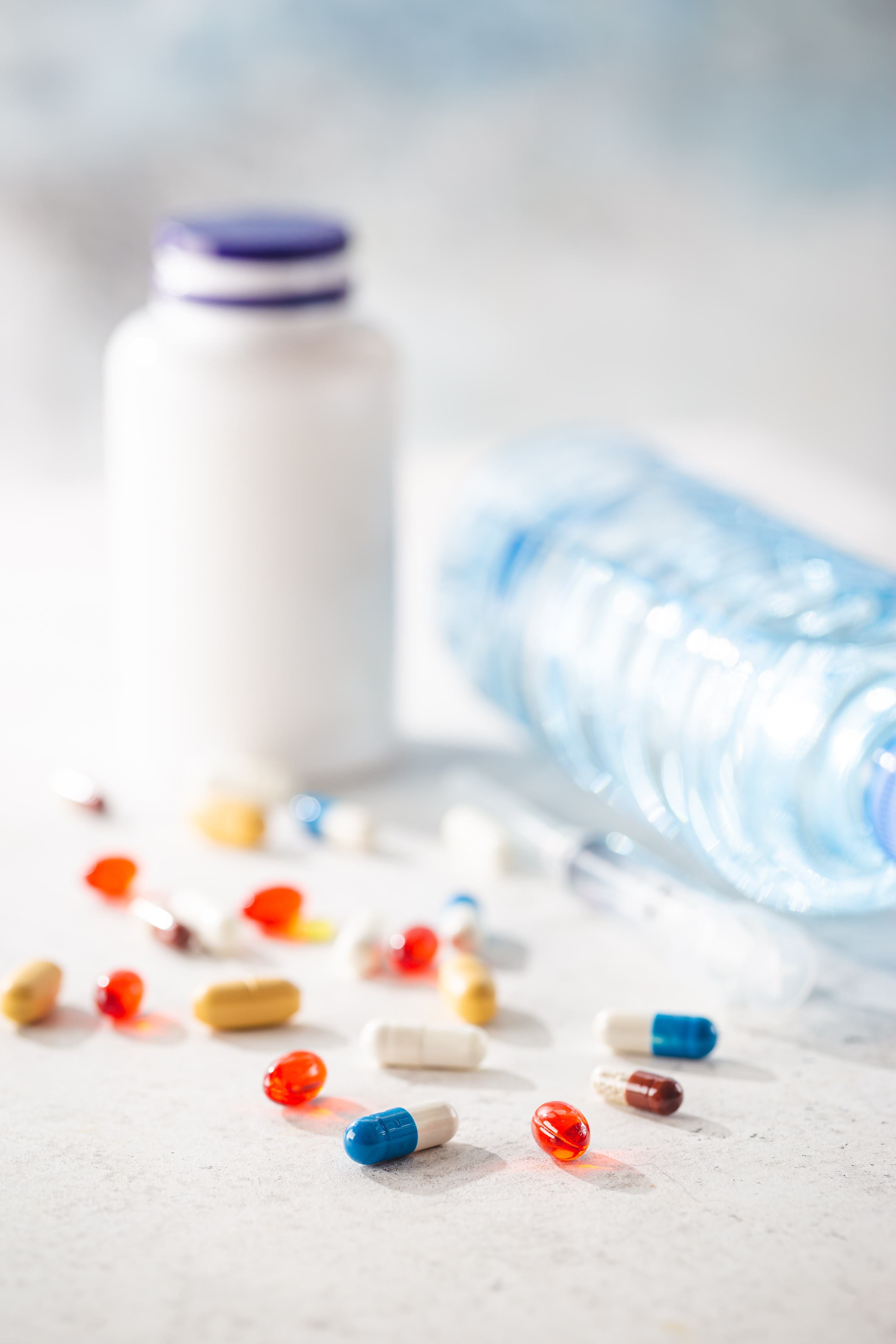 추석 선물 추천