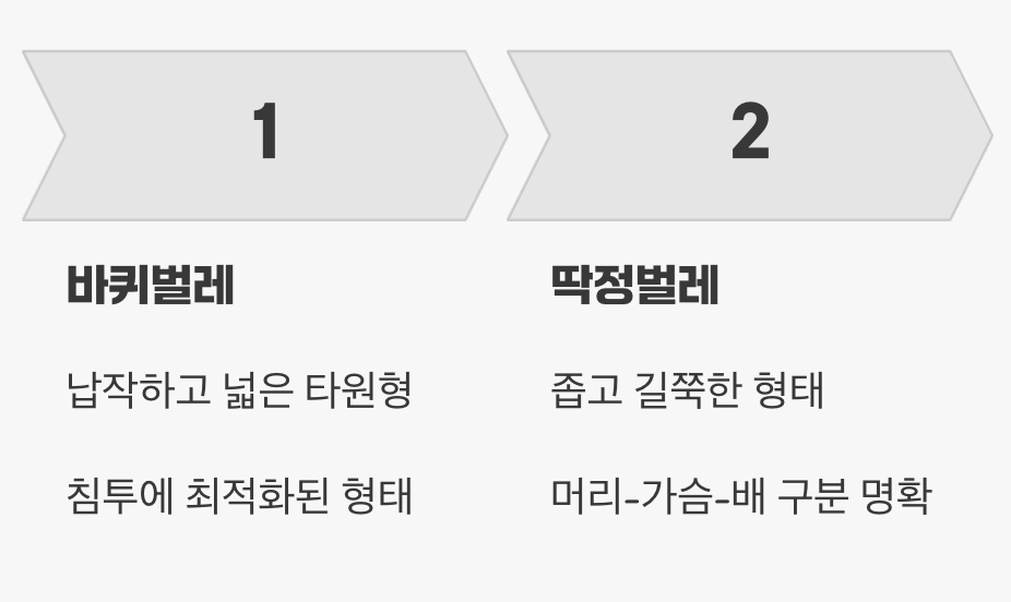 몸매를 보면 성격이 보여요