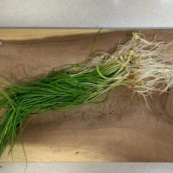 달래 손질 방법 달래장 맛있게 꿀팁_21