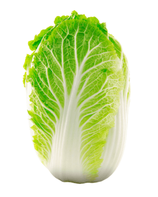 절임배추 만드는법 영양 보관방법 구매팁