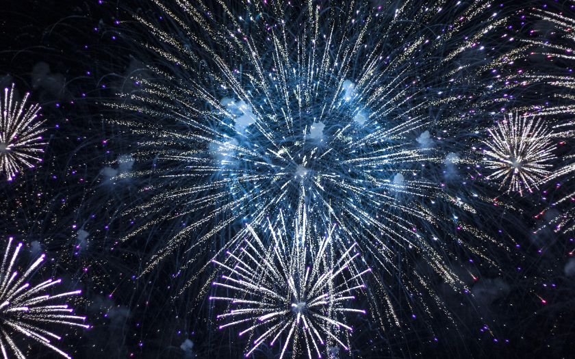 축제 관련 사진