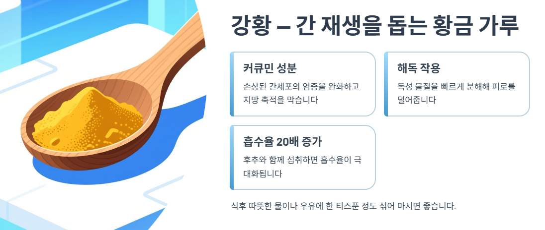 강황 — 간 재생을 돕는 황금 가루