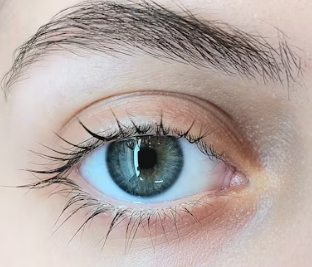 눈썹 이식 비용 가격 부작용