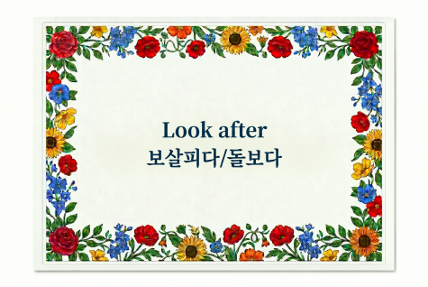 Look after 보살피다