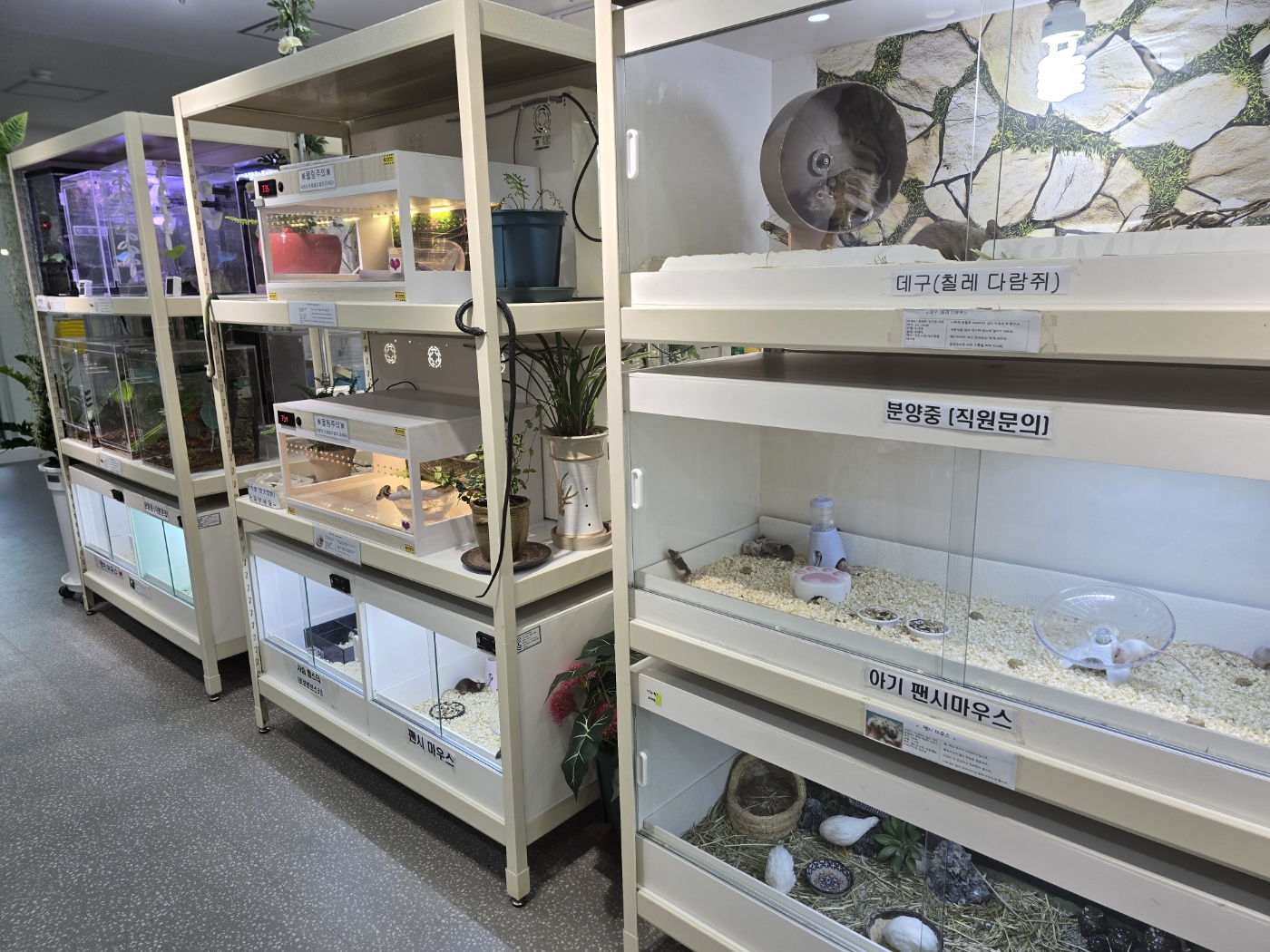 동물들 사육장 사진