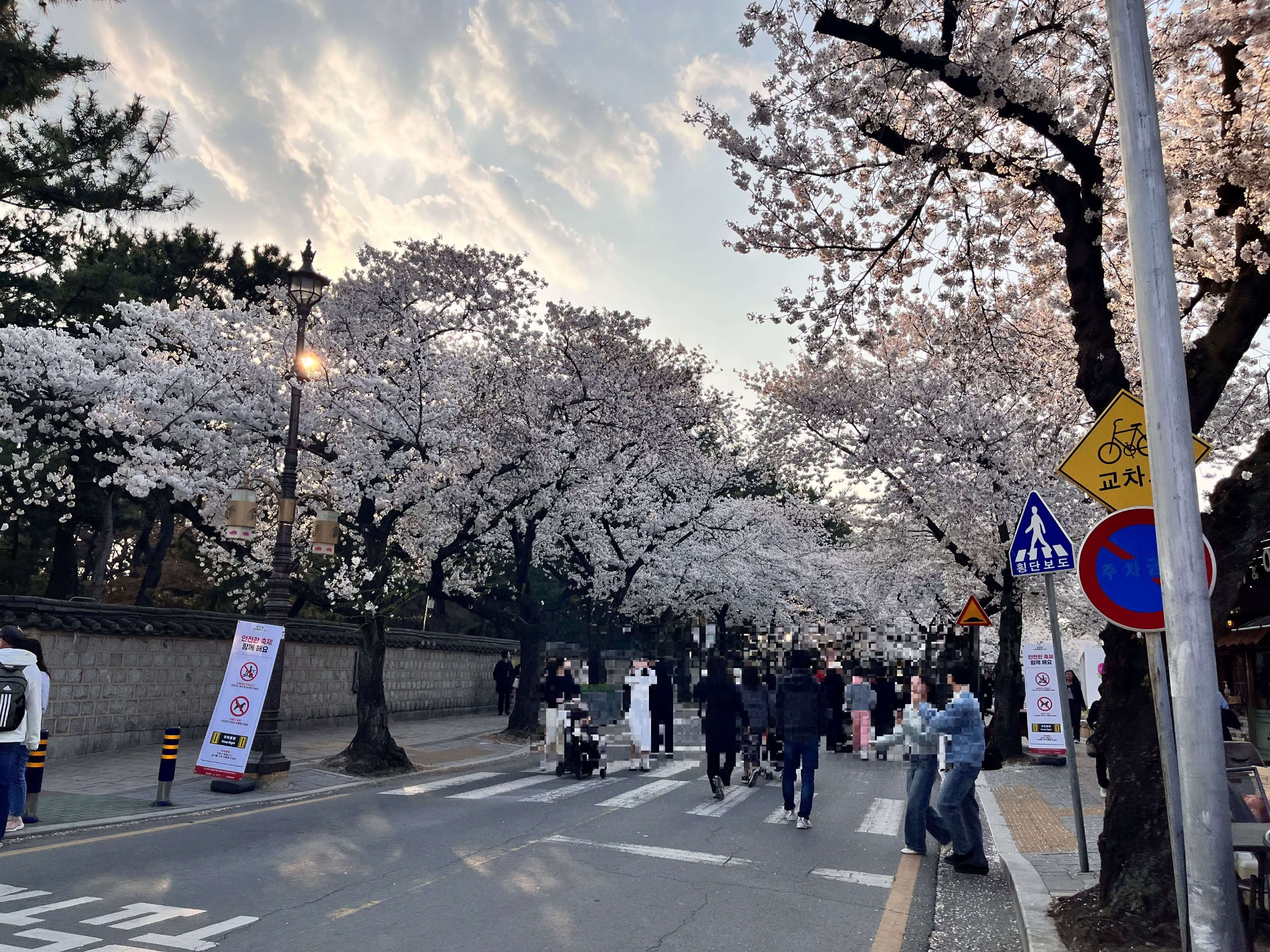 대릉원 돌담길 축제