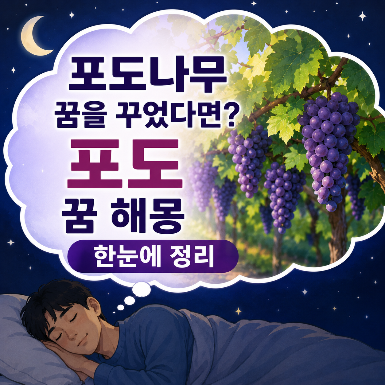 포도나무 꿈