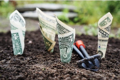 파킹통장 등 단기채 투자 단기자금 운용