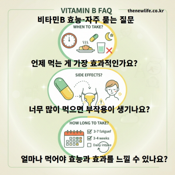 비타민B 효능과 복용법에 관한 자주 묻는 질문을 정리한 인포그래픽 &ndash; 비타민B 복용 시간, 부작용, 복용 기간 등 효과적인 섭취 방법을 시각적으로 설명했습니다.