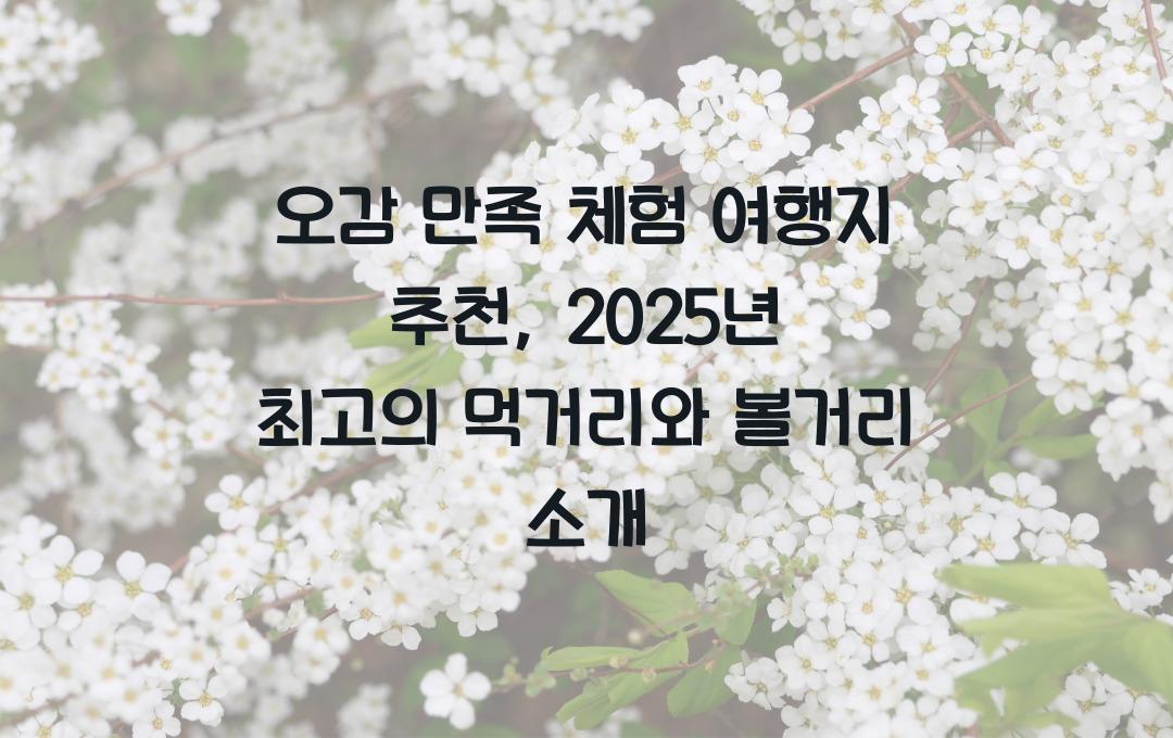 오감 만족 체험 여행지 추천