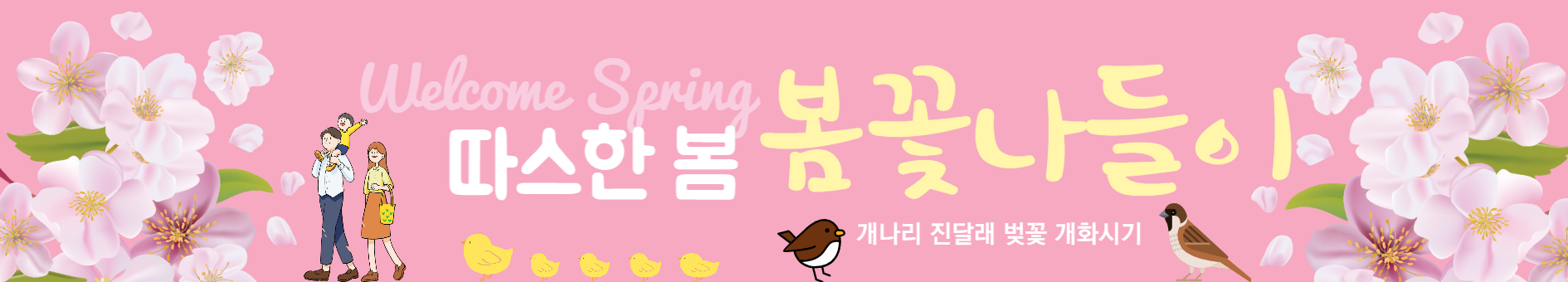 개나리 진달래 벚꽃 개화시기