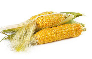 다이어트에-좋은-가을-제철음식-옥수수