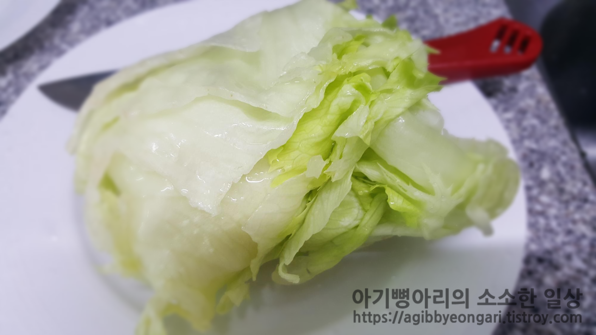 양상추이미지
