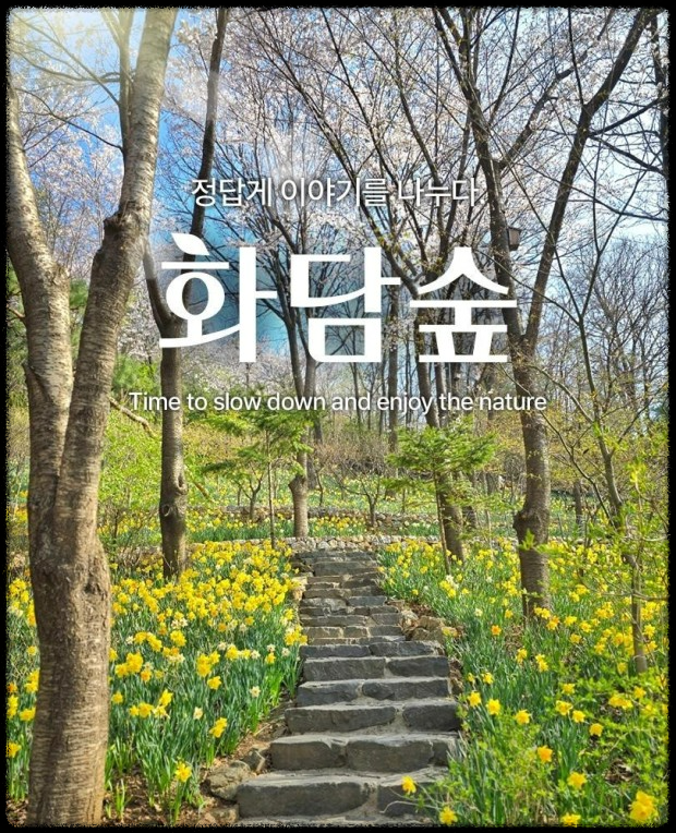 화담숲 데이트 - 벚꽃 아래서 힐링 여행!