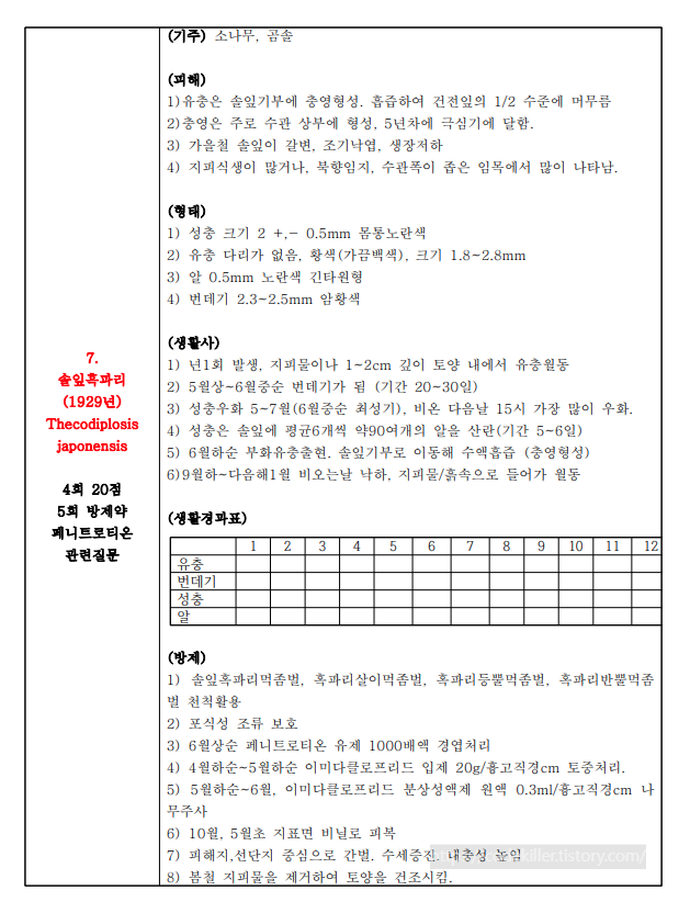 솔잎혹파리