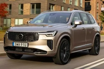 2025년 8월 중형 SUV 판매 순위 전체 순위표로 확인_6
