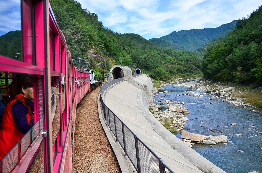 백두대간 협곡열차 예매 방법 시간표 v-train