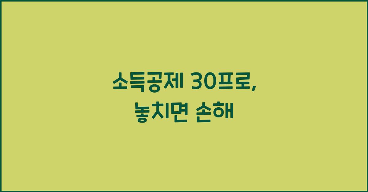 소득공제 30프로
