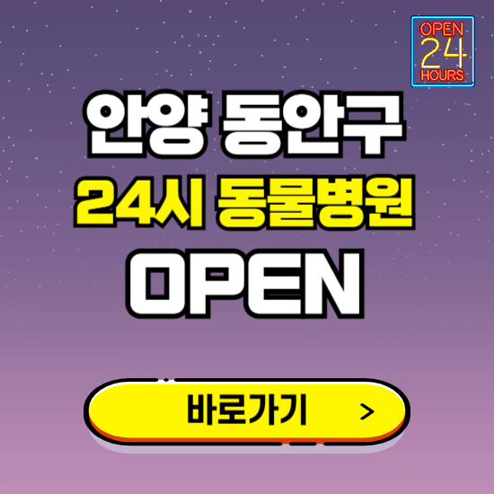 안양시 동안구 24시 동물병원 진료하는 곳 ❘ 설날 휴일 야간 심야 문여는곳 찾기 ❘ 응급진료