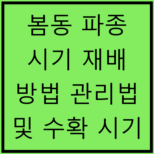 봄동 파종 시기 재배 방법 관리법 및 수확 시기 정리