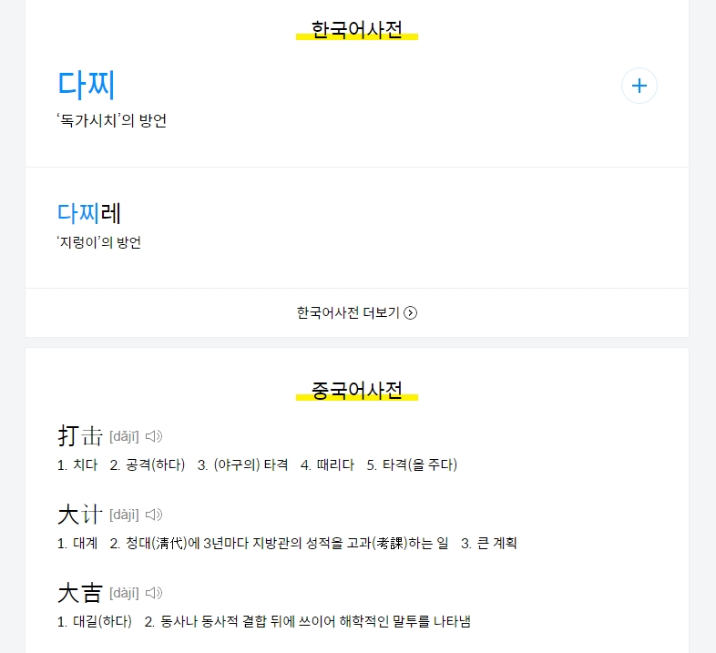 국어사전 및 외국어 사전 상세 페이지에서도 정확한 뜻을 찾을 수 없는 상황