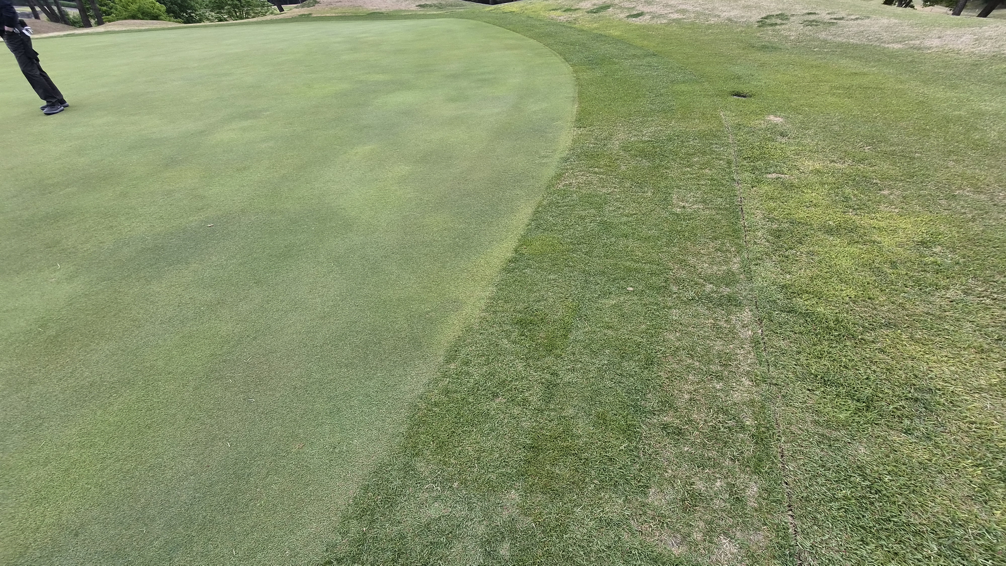 포웰cc 프린세스 라운드 후기