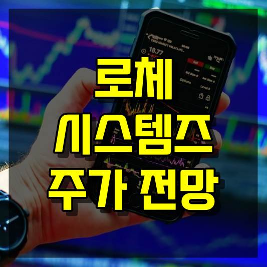 로체시스템즈 주가 전망
