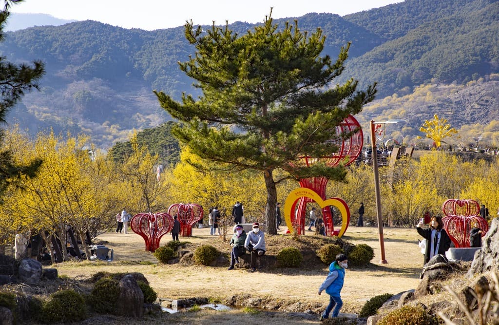 구례산수유축제 일정&amp;#44; 서울에서 당일치기 가능! 2025년