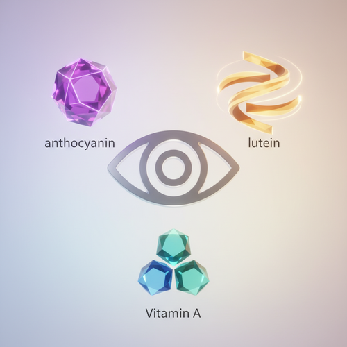 중년 눈 건강&amp;#44; 하스카프베리가 지켜주는 핵심 성분 3가지