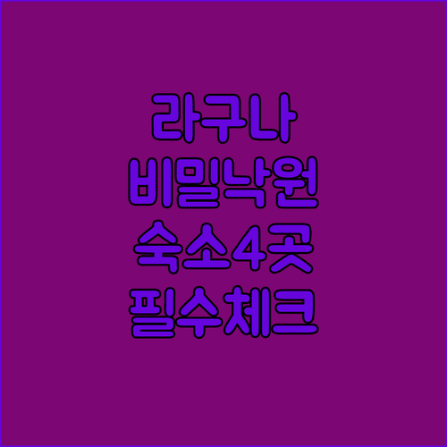 숨겨진 지상낙원 라구나 숙소 비교 당..