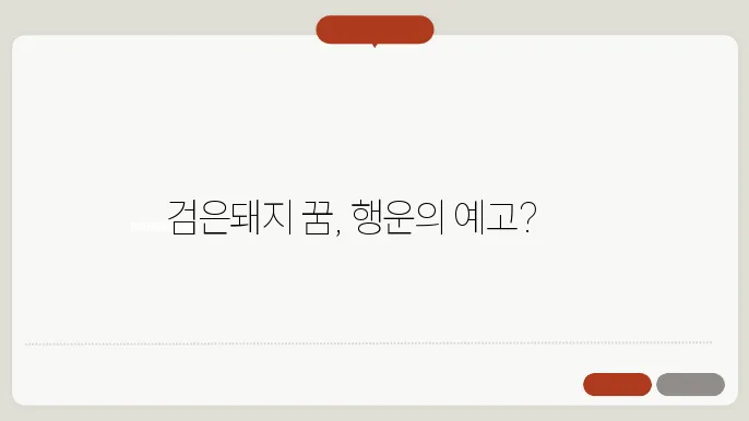 검은돼지 꿈 해몽