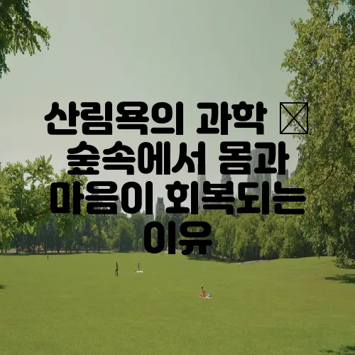 산림욕의 과학 – 숲속에서 몸과 마음이 회복되는 이유