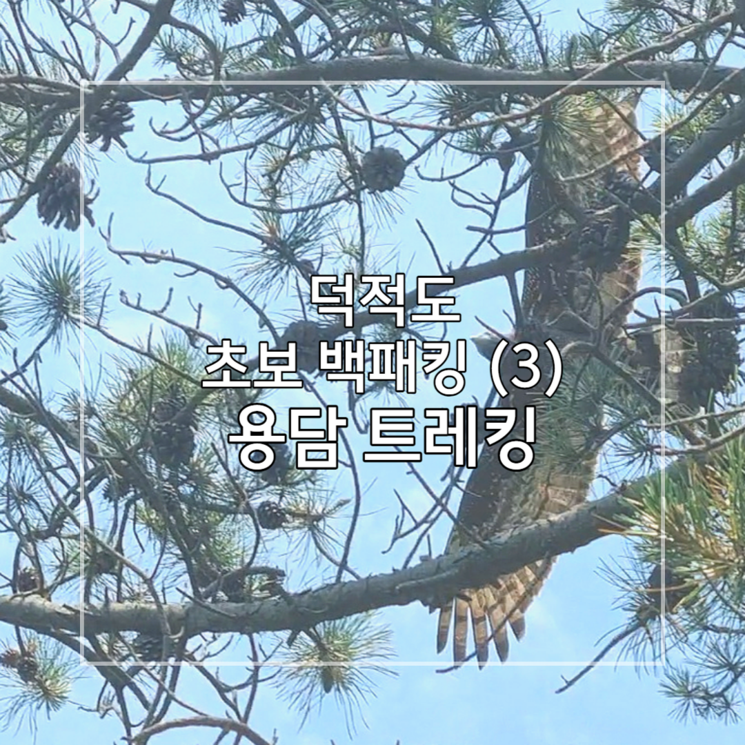 덕적도_트레킹_매_사진