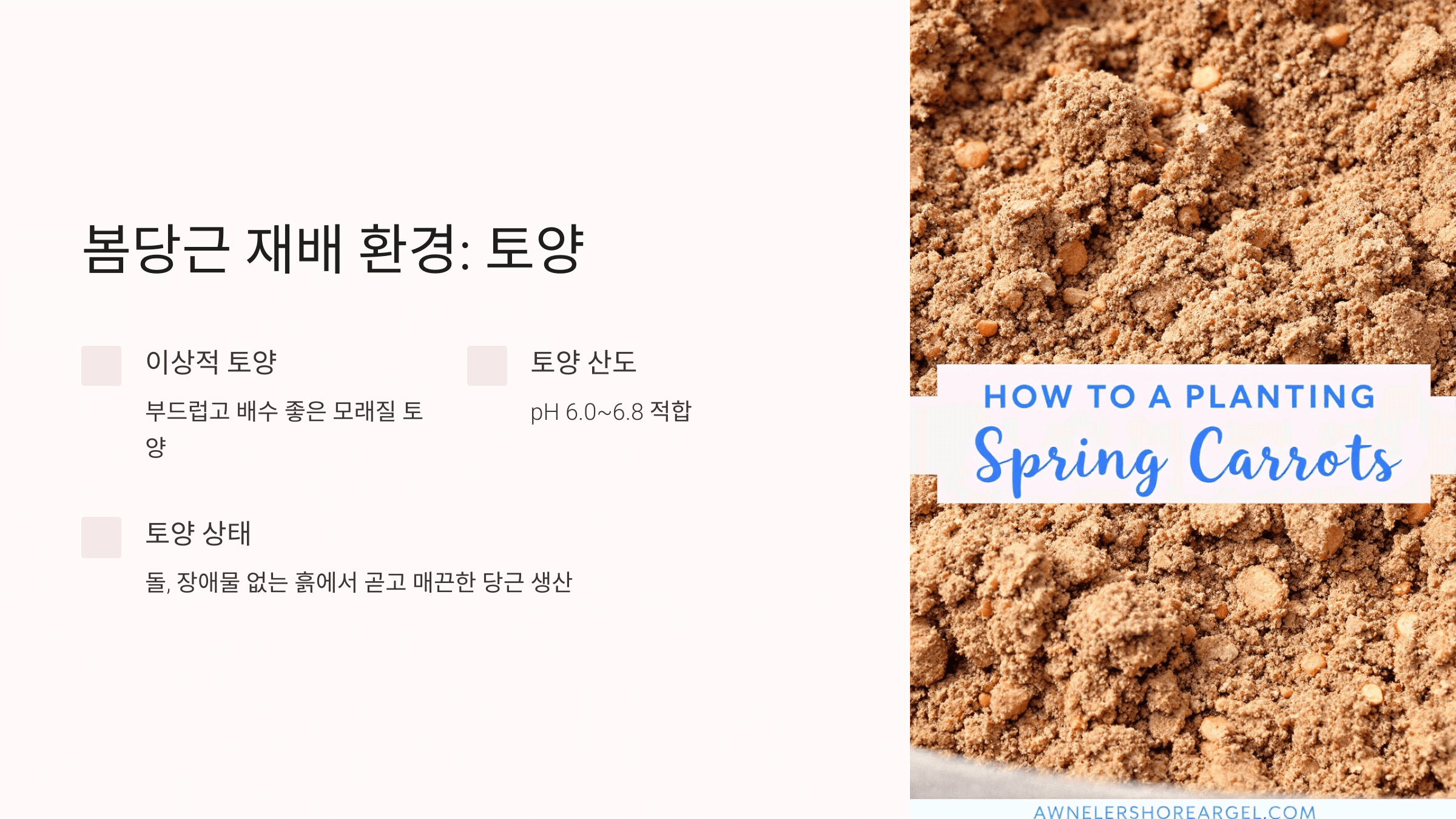 당근 사진입니다.