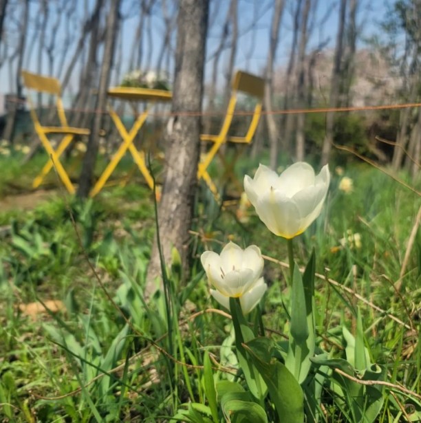 주말 아이랑 기기 좋은 곳 추천 - 모네 정원