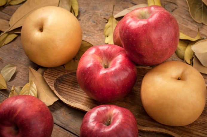 가을_사과_배_사진