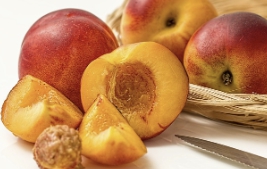 복숭아 보관방법