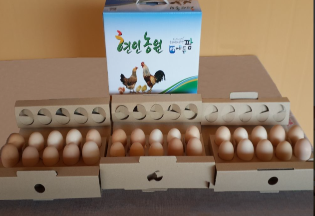 오늘n 유정란 파주